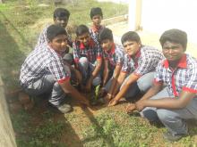 Swachhata Pakhwada 2019- Tree Plantation