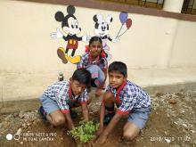 Tree Plantation Drive 2019