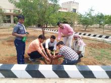 Tree Plantation Drive 2019