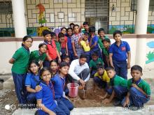 Tree Plantation Drive 2019